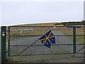 NT4811 : Hawick flag, St Leonard's Park by Jim Barton