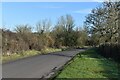 Wide verge beside Horton Road