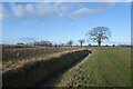 Path towards Stubbins