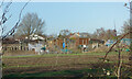 SU3700 : Allotments, East Boldre by Des Blenkinsopp
