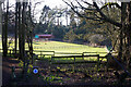 Horse paddocks at Blakedown