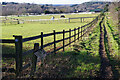 Horse Paddocks at Blakedown