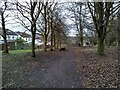 Path east of Kilmardinny Loch