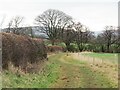 Bridleway to Low Easby