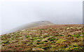 NN2900 : South-east ridge of Tullich Hill by Trevor Littlewood