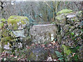 Stone Stile, St Briavels