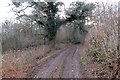 Trac ger Ffarm y Garth / Track near Garth Farm