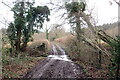 Trac ger Coed Nantyrhogfaen / Track near Coed Nantyrhogfaen