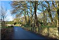 Blubberhouses, Hall Lane