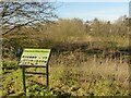 Valley Road Water Meadow