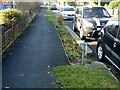 Rainwater garden, Ribblesdale Road