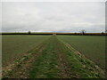 Bridleway to Scrafield Lane