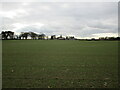 Autumn sown crop and Scrafield House Farm