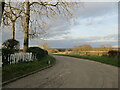 Roadway to Mareham Grange