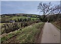 Country lane at Cockshutford