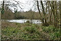 Townland Pond