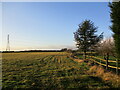 Grass field by the Fosse Way near Cotgrave