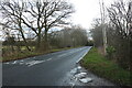 Straight Road, Horkesley Heath