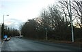 Boxted Road, Mile End