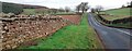 B6413 heading towards Lazonby  passing Scratchmere Scar Farm