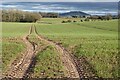 Arable farmland