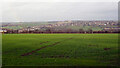 Looking north from Shepherds Thorn Lane, Brighouse