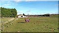 Pasture near Seisdon in Staffordshire