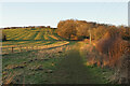 Path up to Hobb Hill