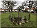 Village Green And Medieval Cross, Egglescliffe