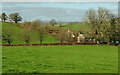 Farmland near Buckyette Farm