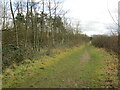 Track towards Bellmoor Farm