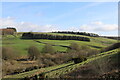 Farmland & Woodland near Ballochmorrie