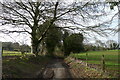 Track north-west  from Longbridge Deverill