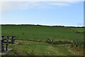 Pasture near Dunseverick Castle