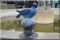 SO9422 : A Cheltenham pigeon by Philip Halling