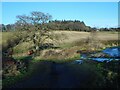 Farm track off Station Road