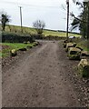 Boulder-lined access road to woodland near Hendre, Monmouthshire