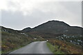 C3144 : Gap of Mamore Road by N Chadwick
