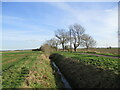 Drain and road to Last Farm, Great Hale Fen