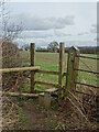 Stile with a view to Cocks-Hut-Hill