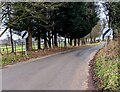 National Speed Limit signs,  Hendre, Monmouthshire