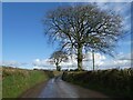 Minor road to Edgiford Cross