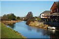 Trent & Mersey Canal towards Bridge #80