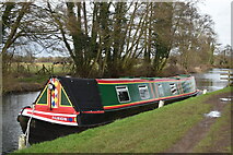 SU6269 : Narrowboat "Albion" moored at Tyle Mill by David Martin