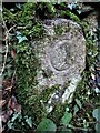 Old Bridge Marker near Buckland Bridge, Widecombe in the Moor