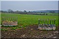 Yatton : Grassy Field