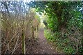 Cleeve : Footpath