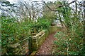 Congresbury : Footpath