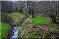 Congresbury : Stream