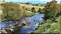 River Wear near Waterside Farm